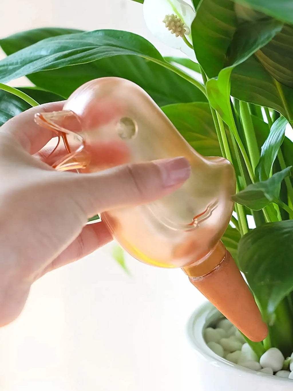 Automatic Flower Waterer, Self-Watering Water Balloon, Bird Shaped Hand Blown Plastic Plant Waterer for Home Garden