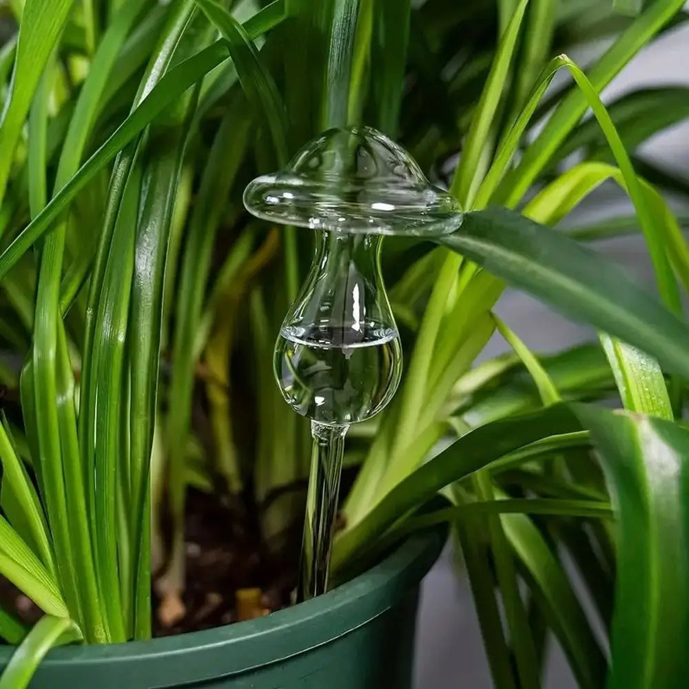 Glass Plant Watering Glass Globes Mushroom Shape Self Watering Drip Irrigation System Rainbow