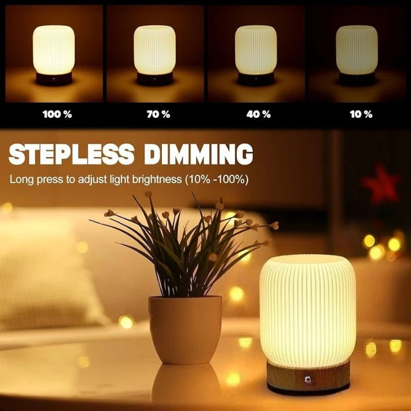 Night Light Touch Lamp for Bedrooms Living Room Portable Dimmable 3 Color Temperatures Bedside Lamps Rechargeable Table Lights