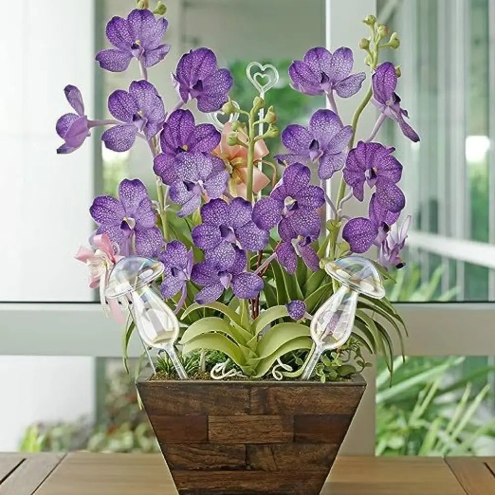 Glass Plant Watering Glass Globes Mushroom Shape Self Watering Drip Irrigation System Rainbow